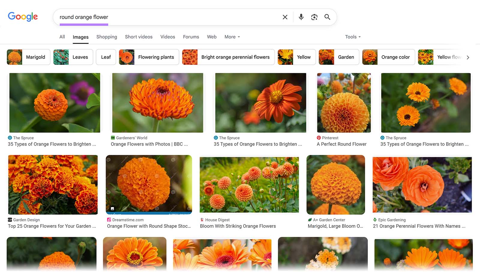 Google Images search page for ‘round orange flower’ with various flower photos