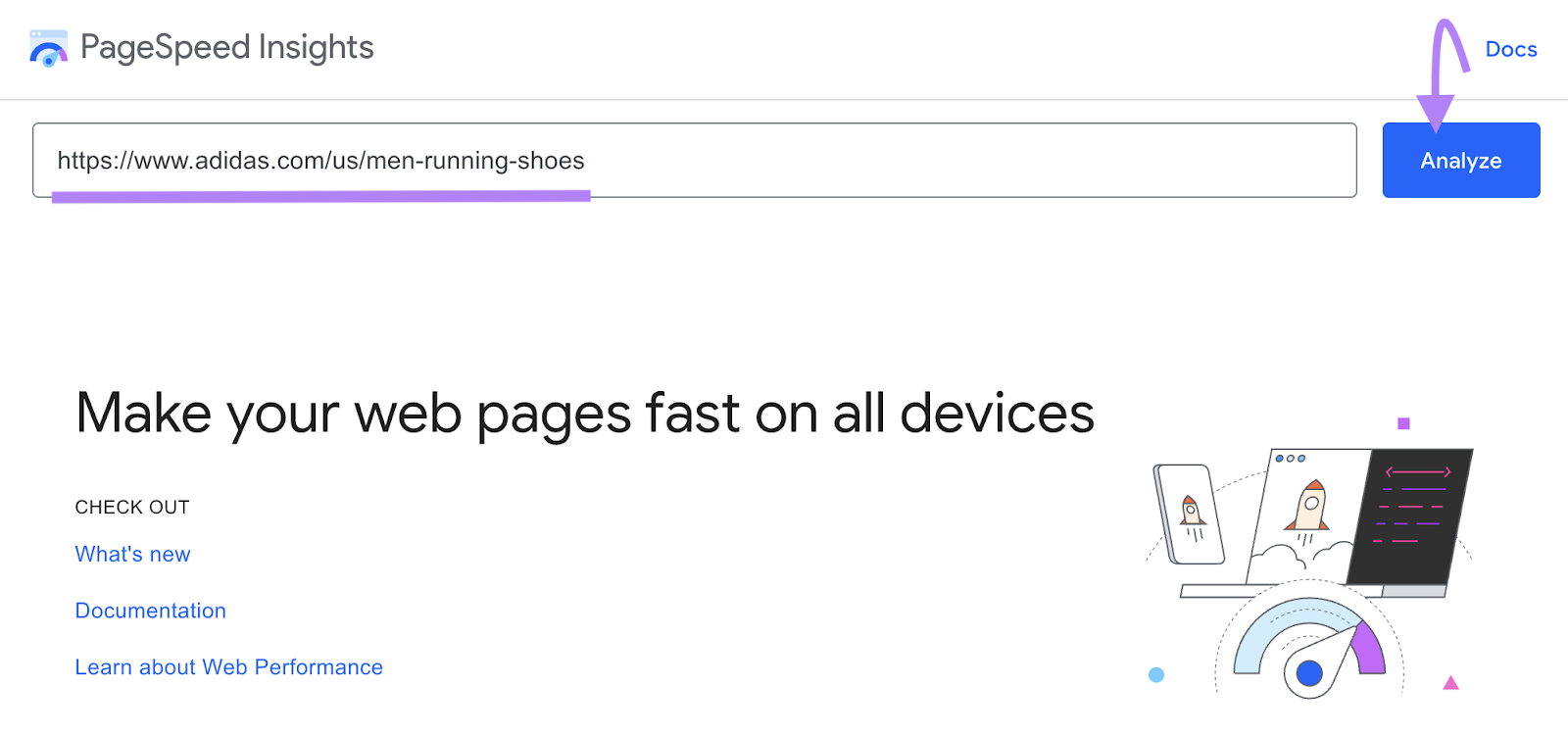 Enter the URL in PageSpeed Insights tool